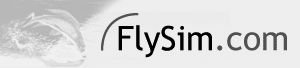 FlySim